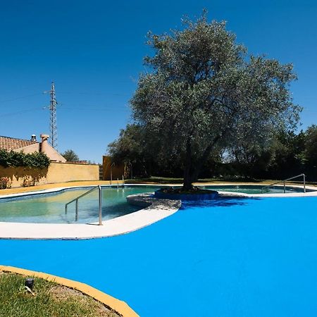 Apartamento Las Brisas I 발렌시나데라콘셉시온 외부 사진